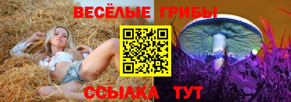 Галлюциногенные грибы мухоморы Кашира