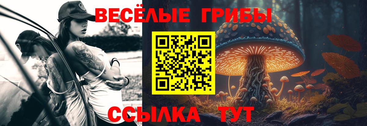 Псилоцибиновые грибы Psilocybine cubensis  Вход с VPN  наркота  Кашира 